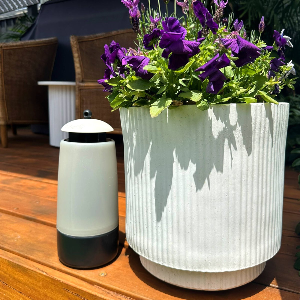 Envirosafe Alfresco Fly Trap - Reusable Outdoor Fly Trap - 120mm x 300mm - Low Odour - SuperSaverAU - view 5