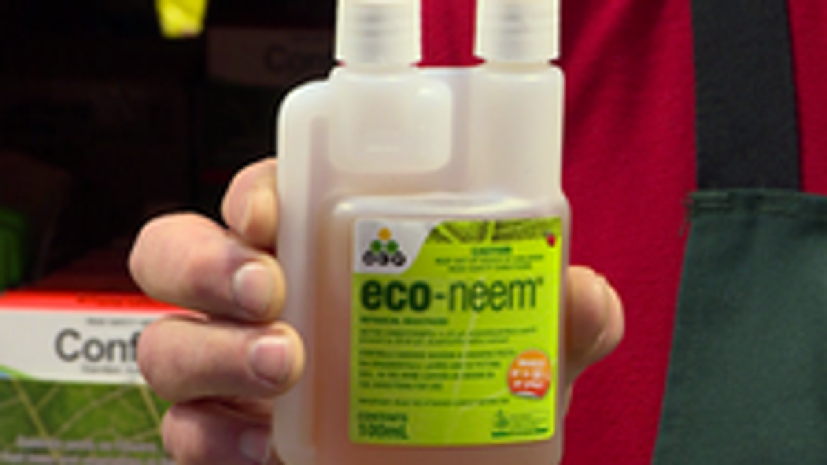 OCP Eco-Neem Concentrate Insecticide 100ml - Pet & Livestock Friendly