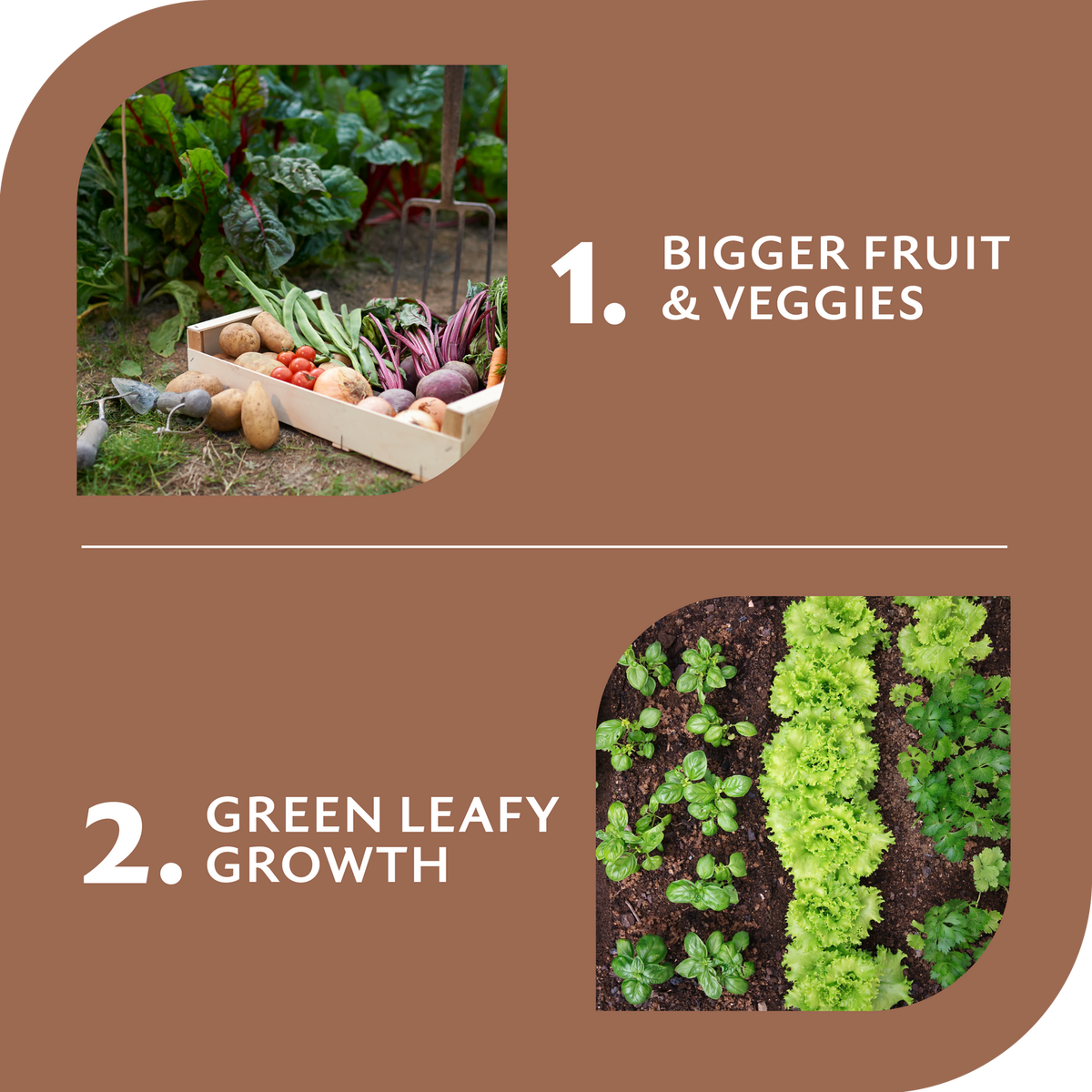 Yates 7kg Dynamic Lifter Organic Plant Food & Soil Improver Pellets for All Plants