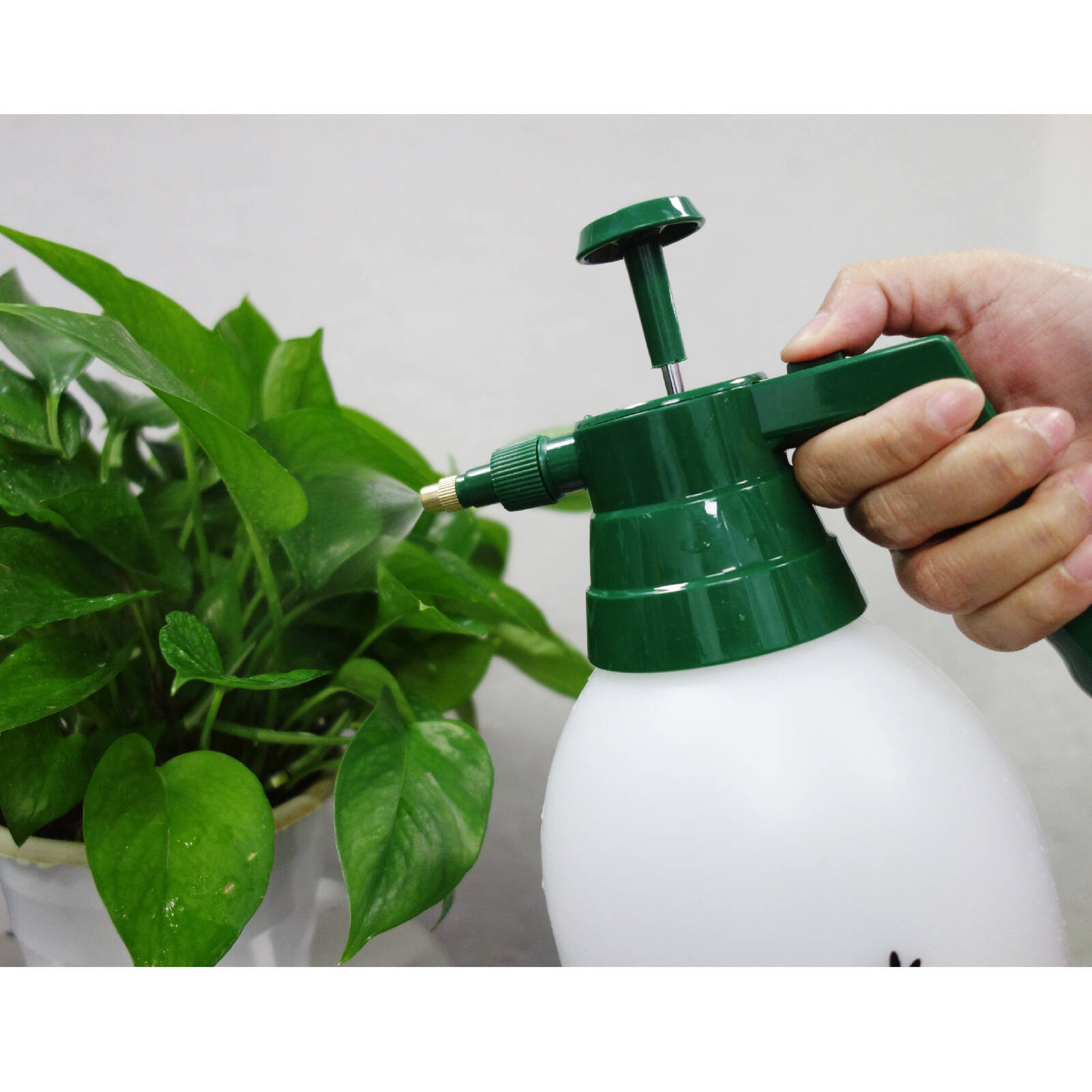 Aqua Systems 2L Garden Pressure Sprayer 245kPa