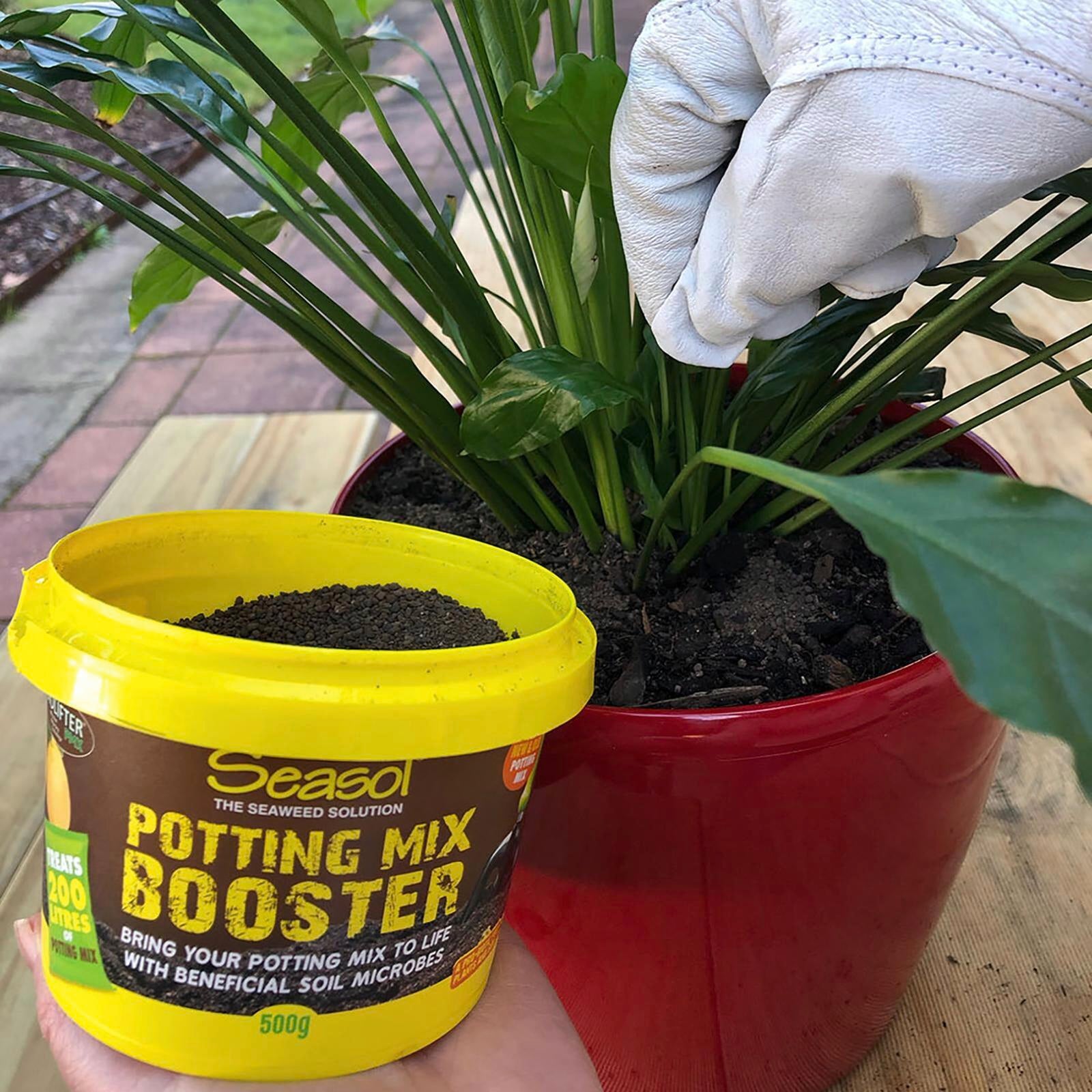 Seasol 500g Potting Mix Booster Tub - Slow Release Granular Fertiliser