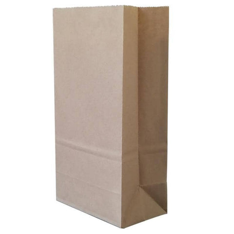 Brown Kraft Paper Food Bags, Pack of 100 - True Co