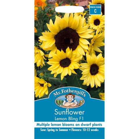 Mr Fothergill's Sunflower Lemon Bling F1 Flower Seed