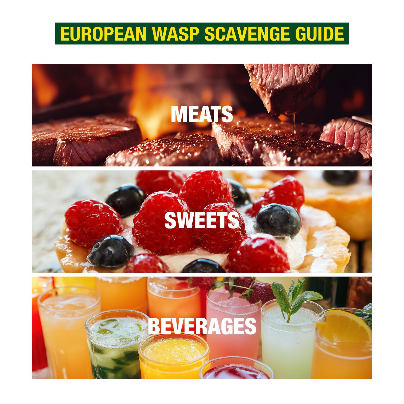 Envirosafe European Wasp Trap with Powder Bait