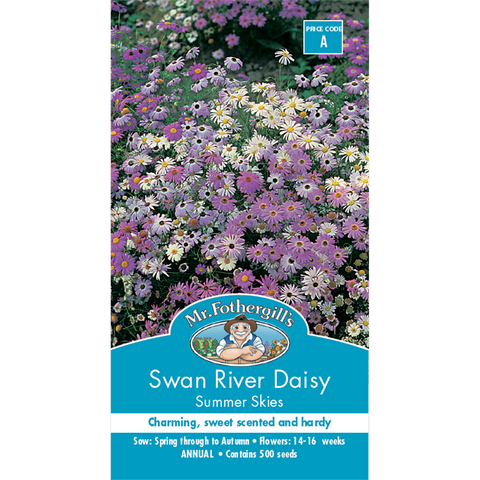 Mr Fothergill S Swan River Daisy Seeds - 30cm - Summer Sky - Charming Flowers - SuperSaverAU - view 1