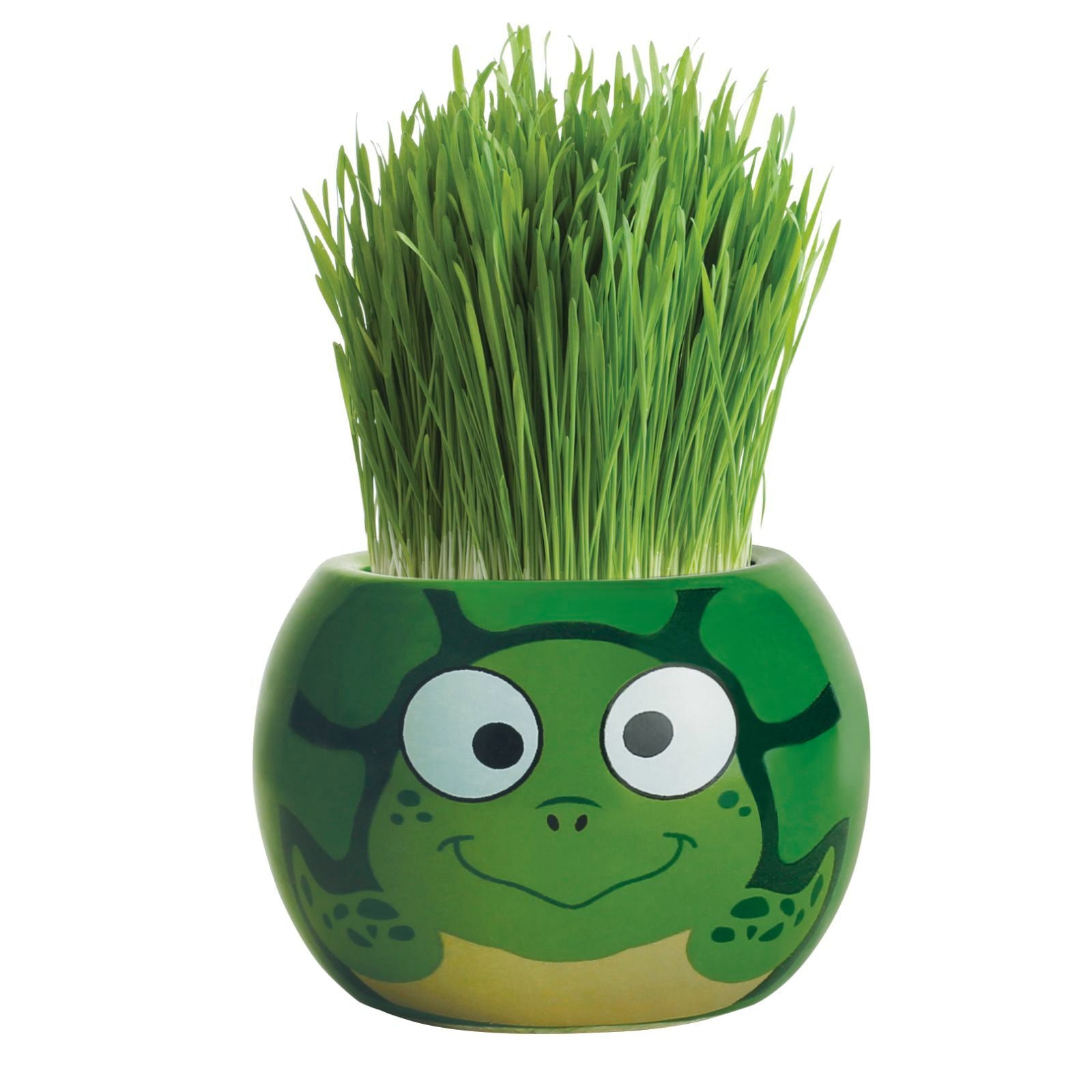 Mr Fothergill's Grass Hair Turtle Growing Kit, Fun Kids' Ryegrass Kit
