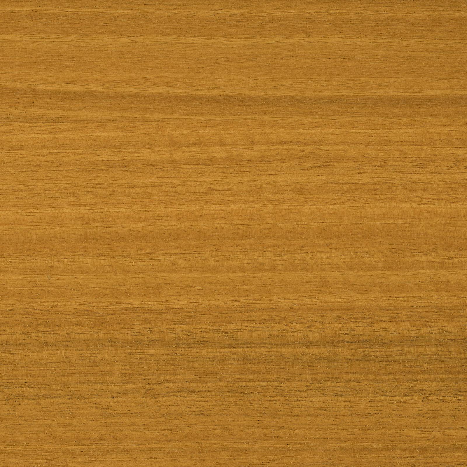 Feast Watson 250ml Natural Matt Look Decking Oil, Water-Based UV Resistant Timber Oil
