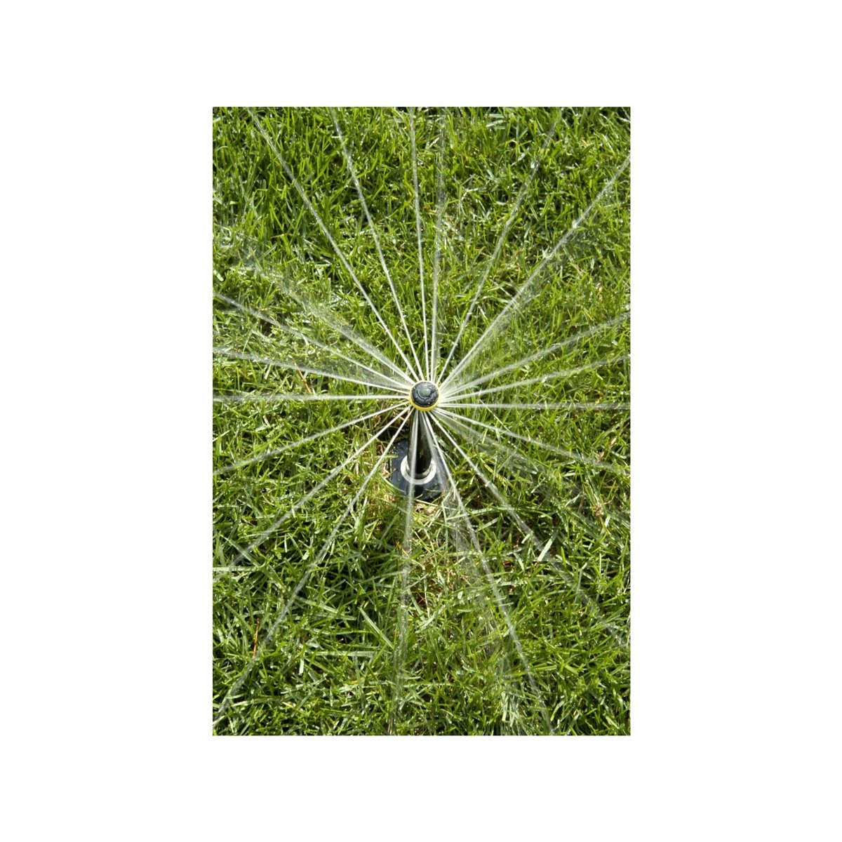 Rain Bird 4-5.5m High Efficiency Adjustable Pattern Rotary Nozzle