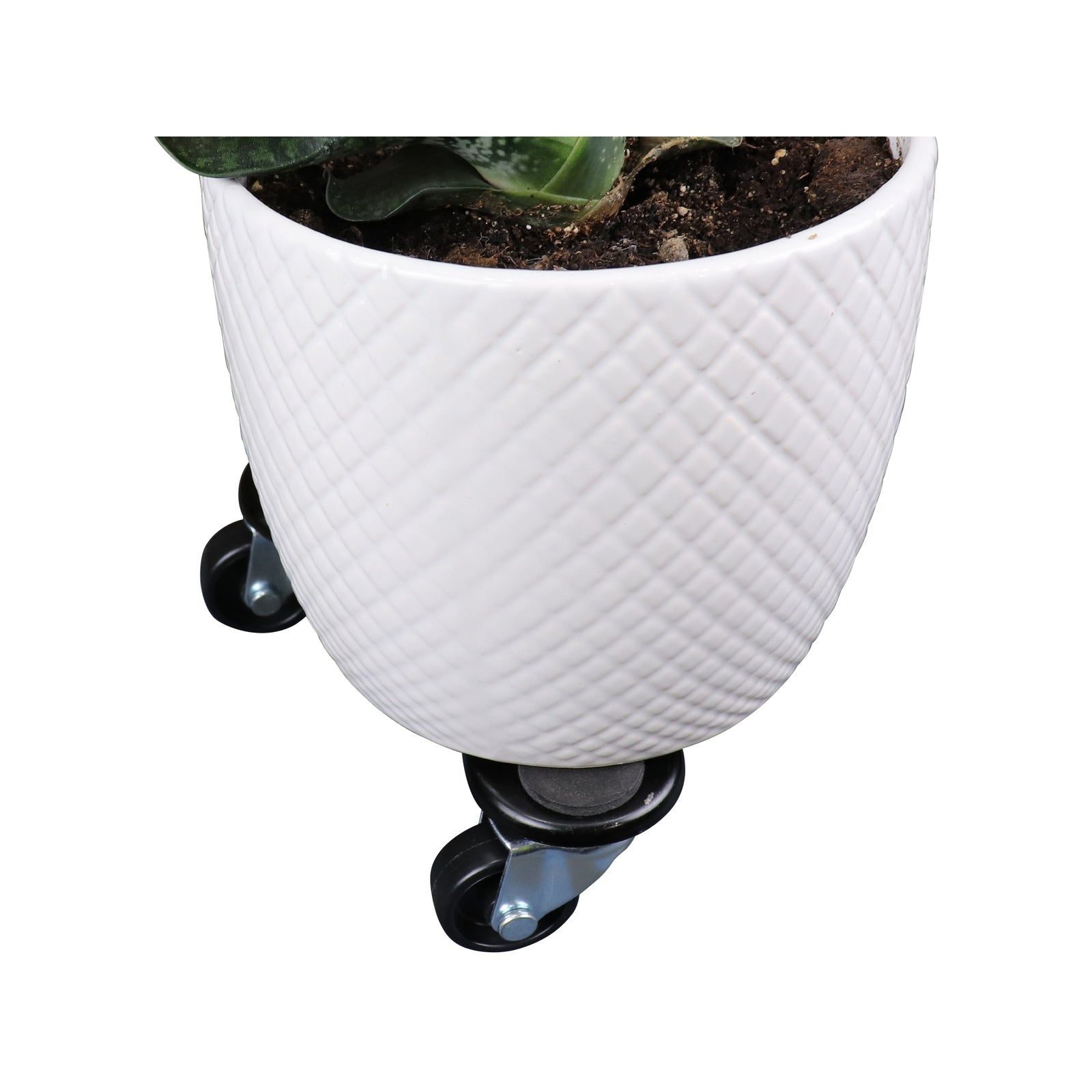 Move It 80kg 150 x 50mm Triangular Dolly - Black