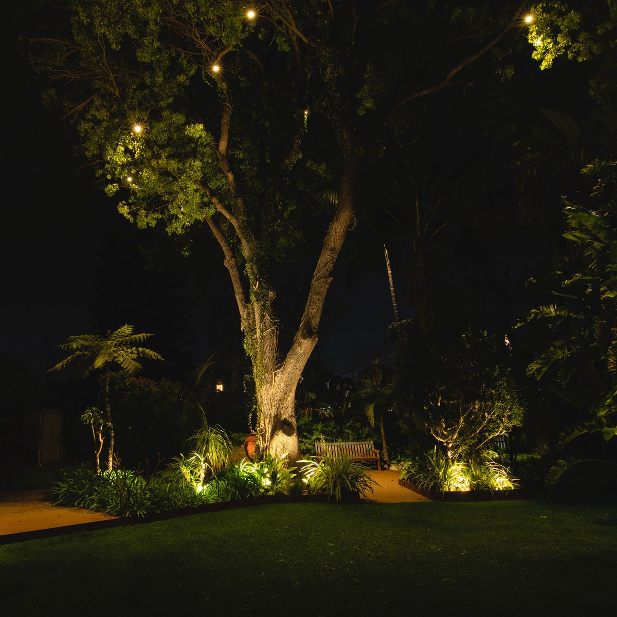 Holman Bluetooth Garden Light Controller - 60W - Durable - Easy Install - SuperSaverAU - view 3