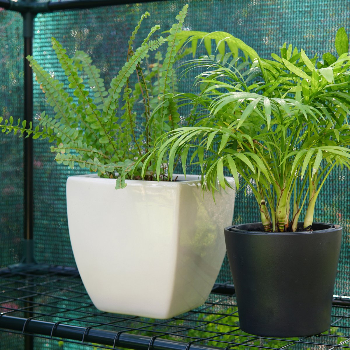 Coolaroo Garden Shade Cloth 1 83 x 3m Green 70% UV Block - Breathable Fabric - SuperSaverAU - view 2