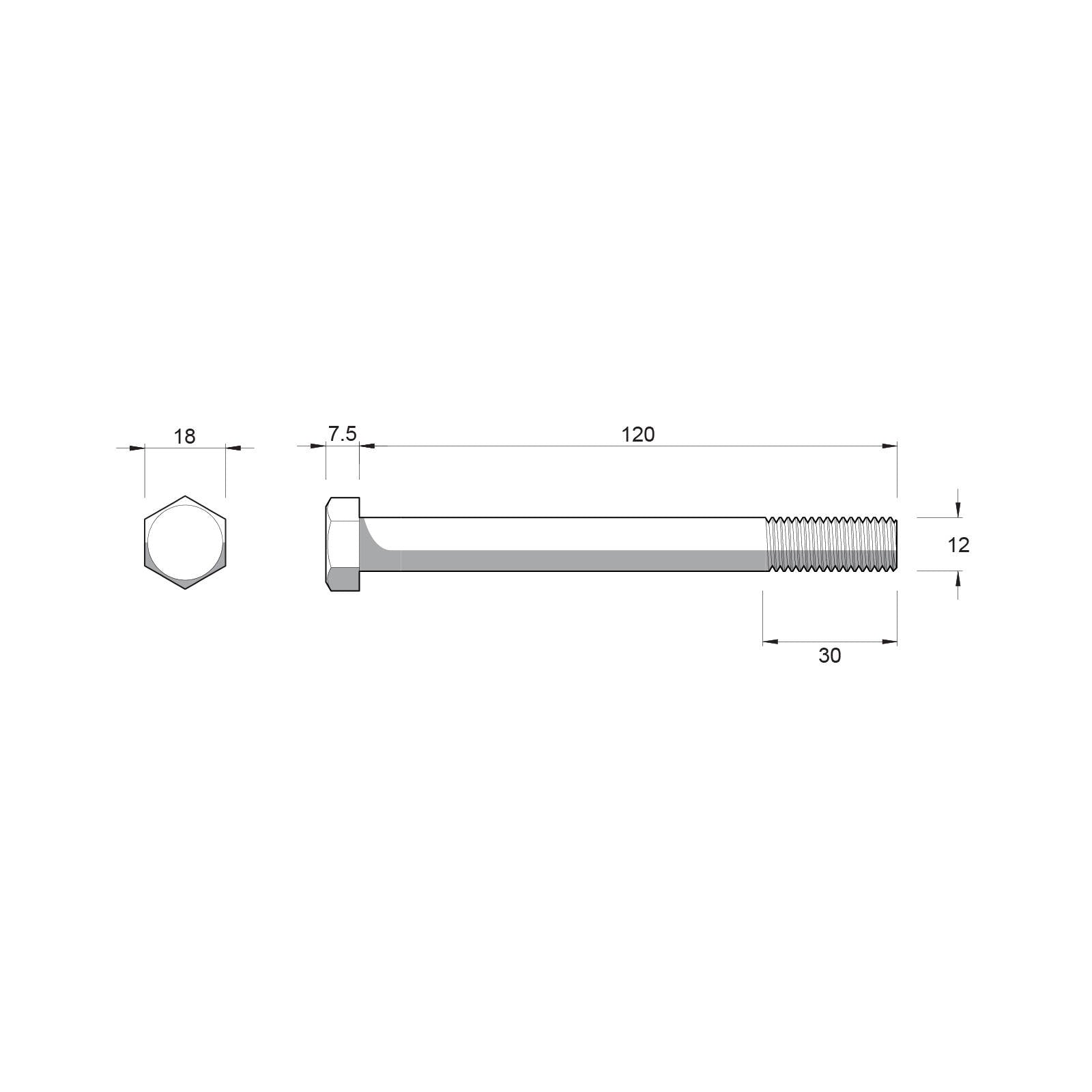 Zenith M12 x 120mm Stainless Steel 304 Hex Head Bolts and Nuts