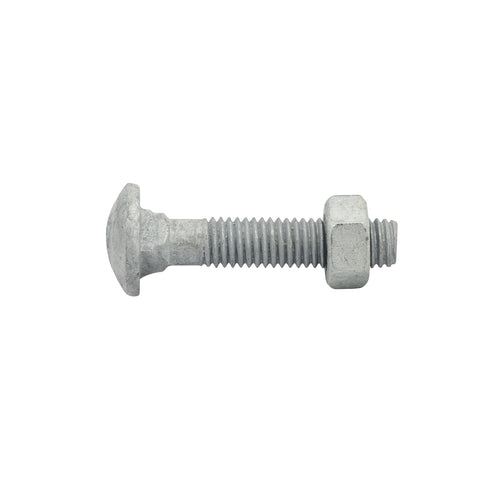 Zenith M8 x 40mm Hot Dipped Galvanised Cup Head Bolt and Nut, 4.6 Grade Steel
