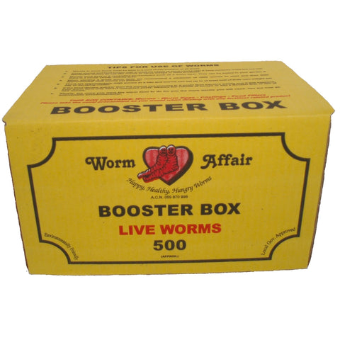 Worm Affair Live Organic Worm Booster - Box of 500 Worms, Odourless