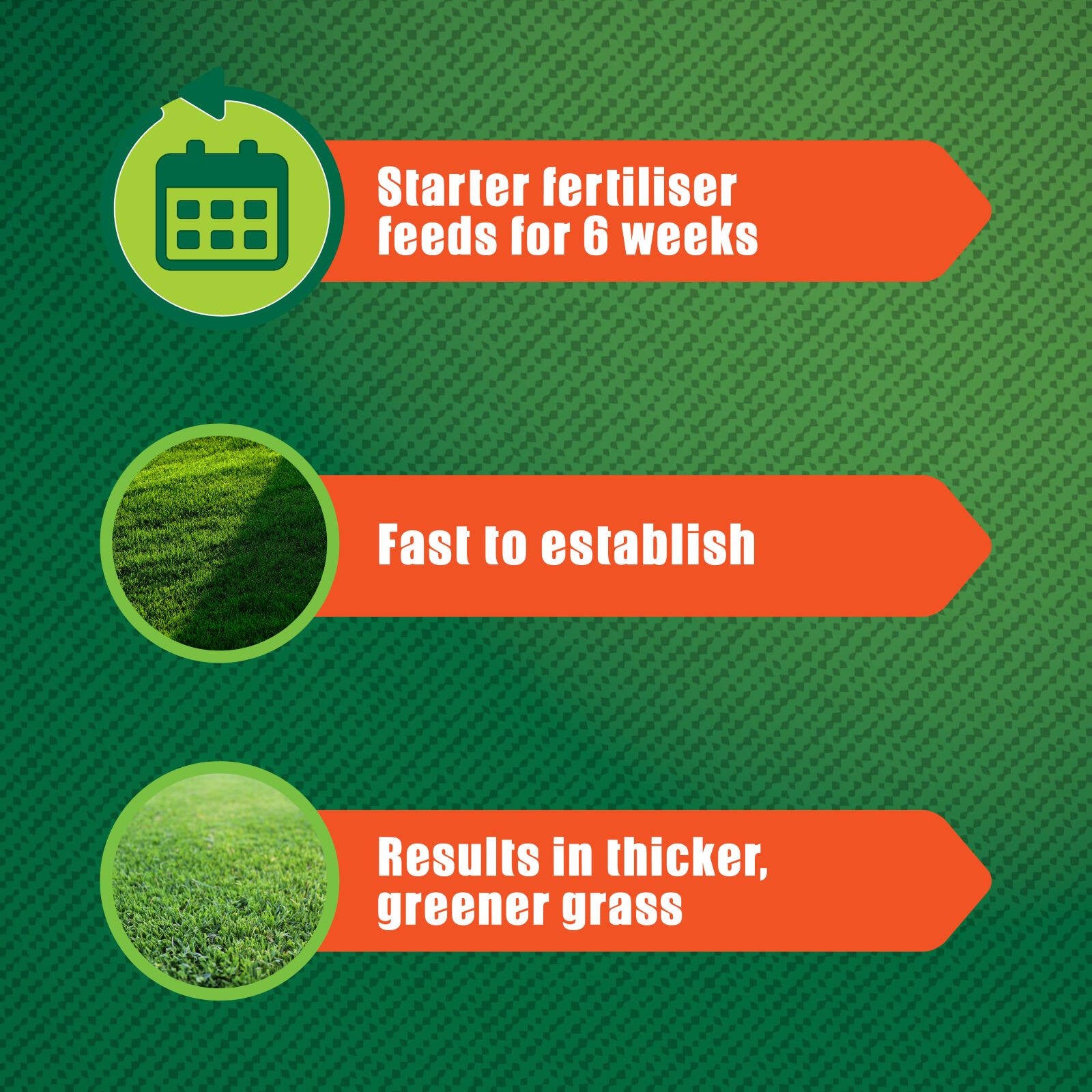 Hortico 200g Shady Lawn Repair, Lawn Seed & Slow Release Lawn Food