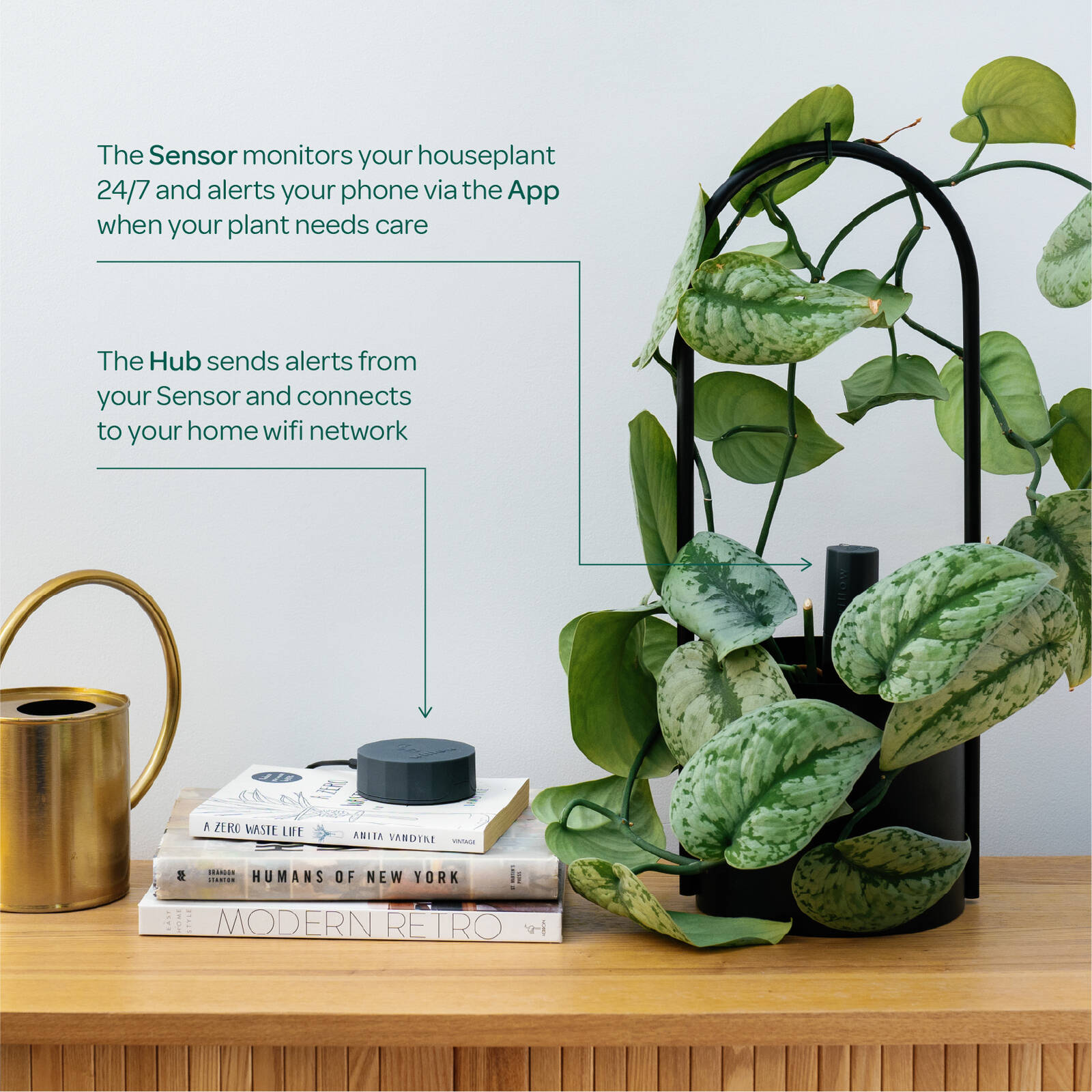 Plant with Willow Smart Indoor Plant Sensor Starter Pack Charcoal, 1 Sensor & Hub
