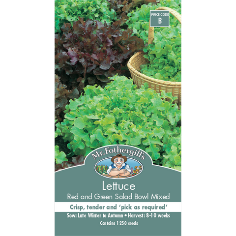 Mr Fothergill Lettuce Seeds - Red Green Salad Bowl - 75mm - Crisp Tender - SuperSaverAU - view 1