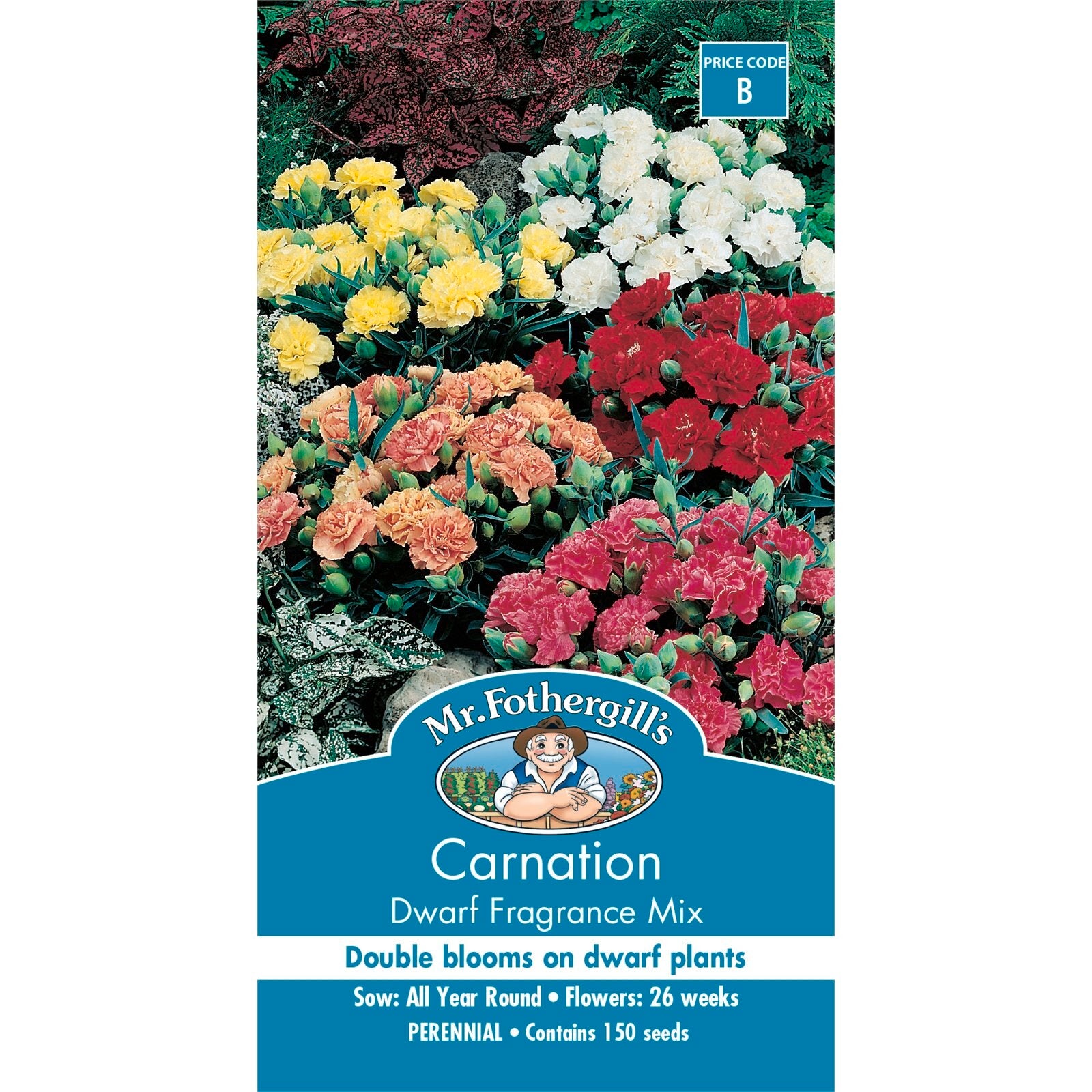 Mr Fothergill's Carnation Dwarf Fragrance Mix Seeds