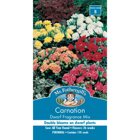 Mr Fothergill's Carnation Dwarf Fragrance Mix Seeds