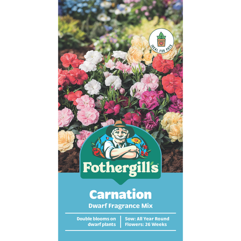 Mr Fothergill's Carnation Dwarf Fragrance Mix Seeds