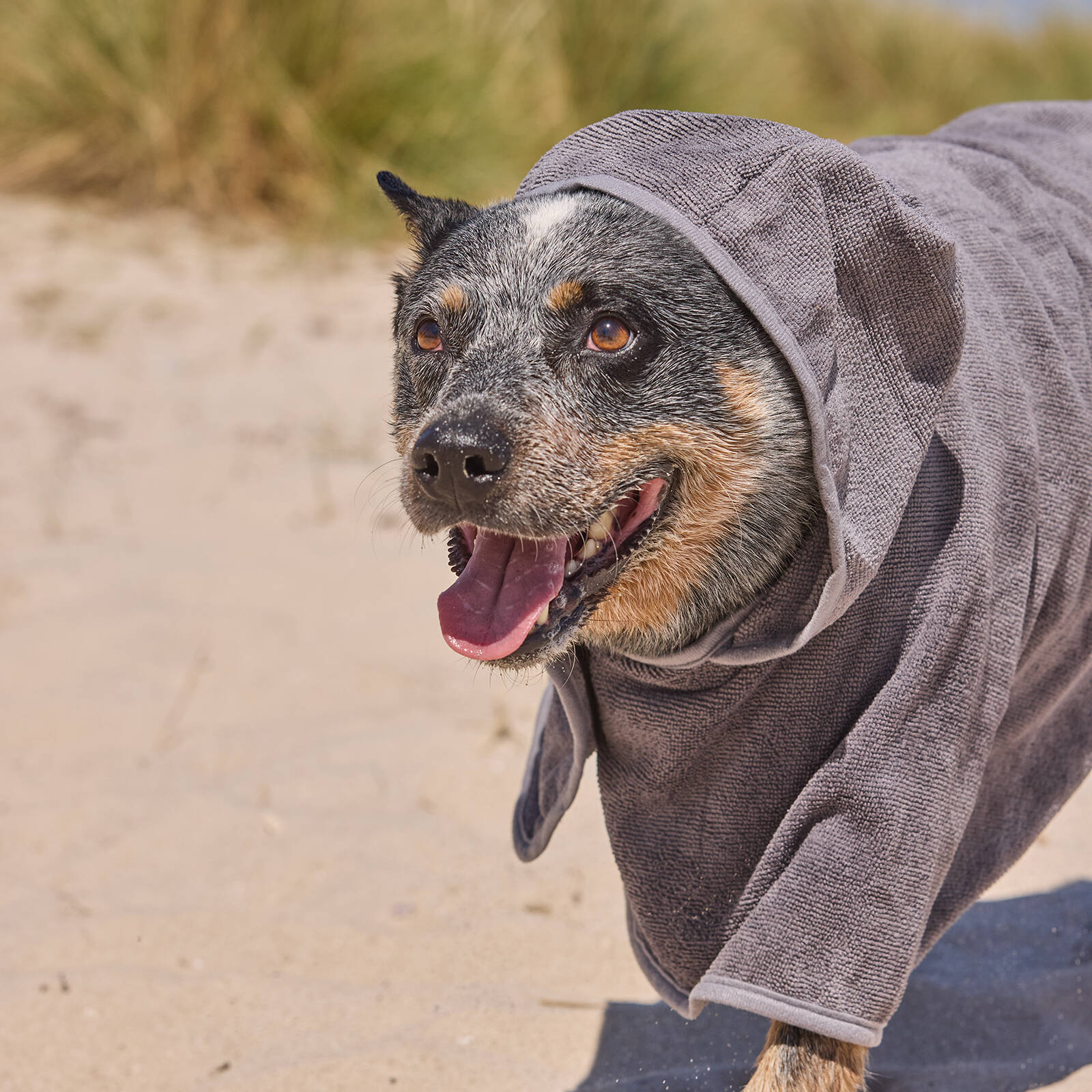 Happy Tails Hooded Pet Towel, Super Absorbent Polyester and Nylon