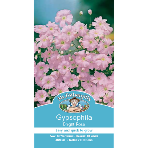 Mr Fothergill's Bright Rose Gypsophila Flower Seeds for Cutting