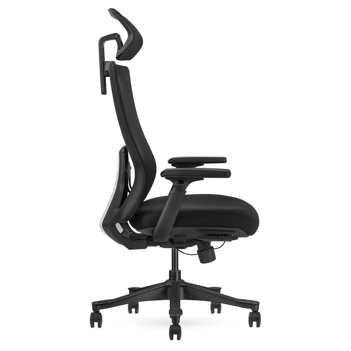 Lifespan Fitness DM9 Ergonomic Mesh High Back Office Chair - Adjustable Lumbar, 3D Armrests - LFOC-DM9BK-1