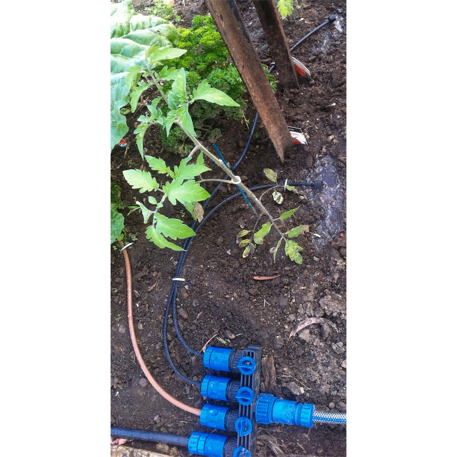 Ladco 4 Outlet Hose Connector, Click-In for 4mm, 6mm & 13mm Irrigation Pipe