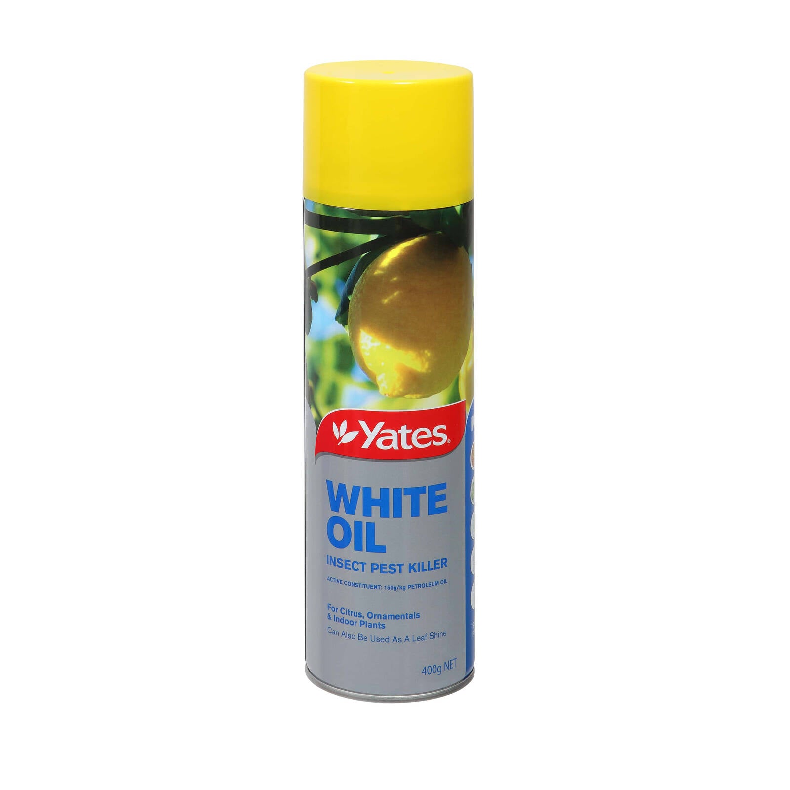 Yates White Oil Insecticide Aerosol 400g Pest Spray for Plants