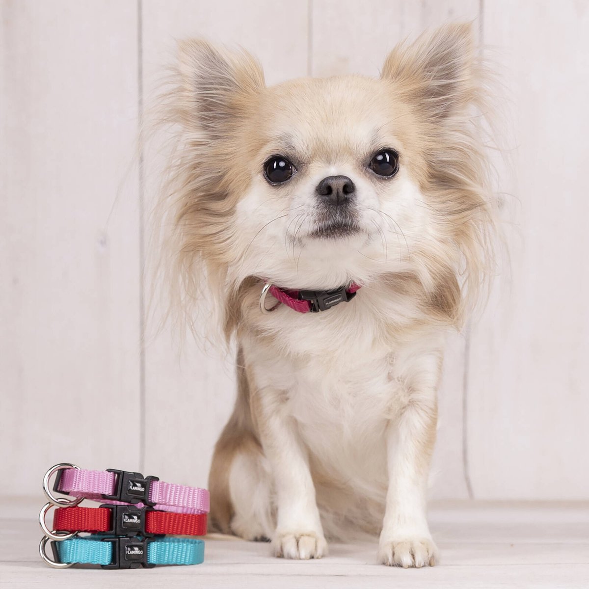 Flamingo Ziggi Small Red Dog Collar, 30-45cm, Nylon, Quick Release Buckle