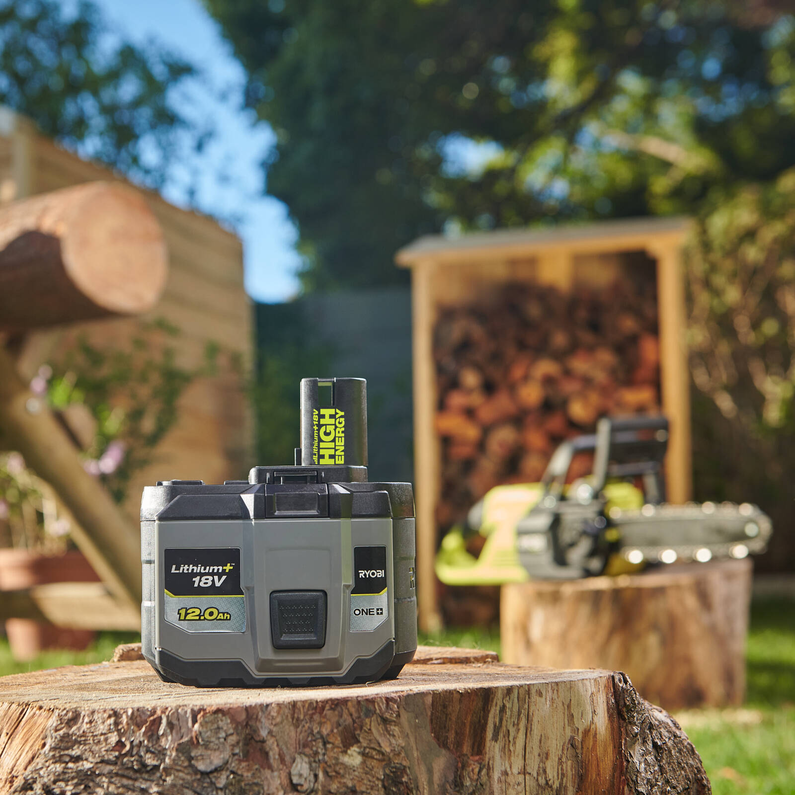 Ryobi 18V ONE+ High Performance 12.0Ah Battery RB18120T