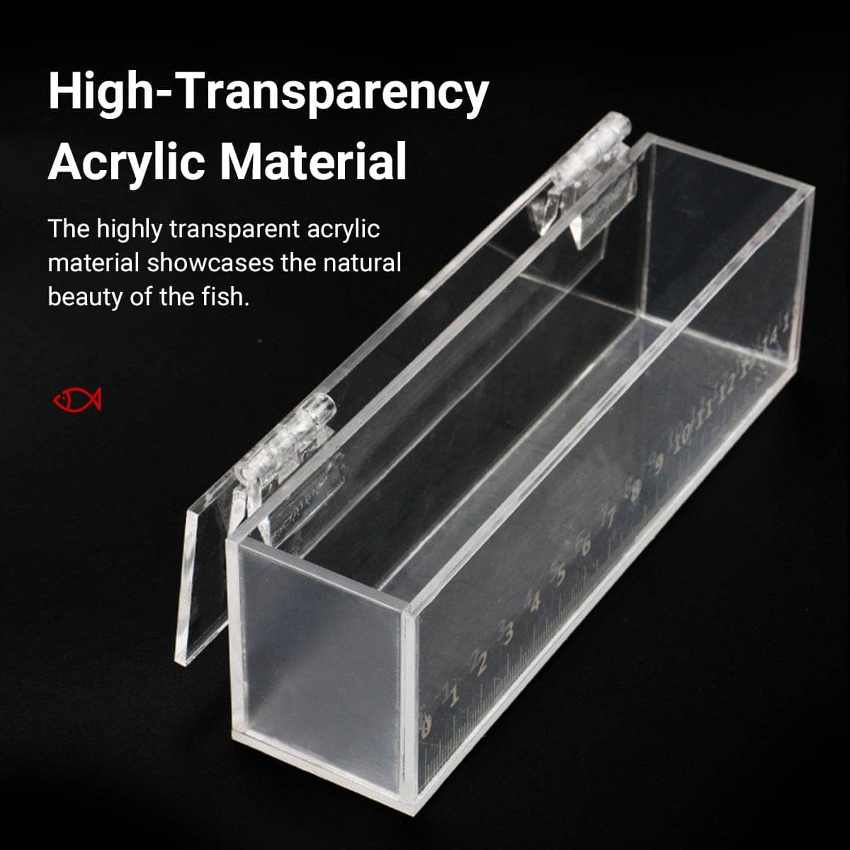 Clear Acrylic Fish Viewing Box - Medium, 15cm Ruler - view 4