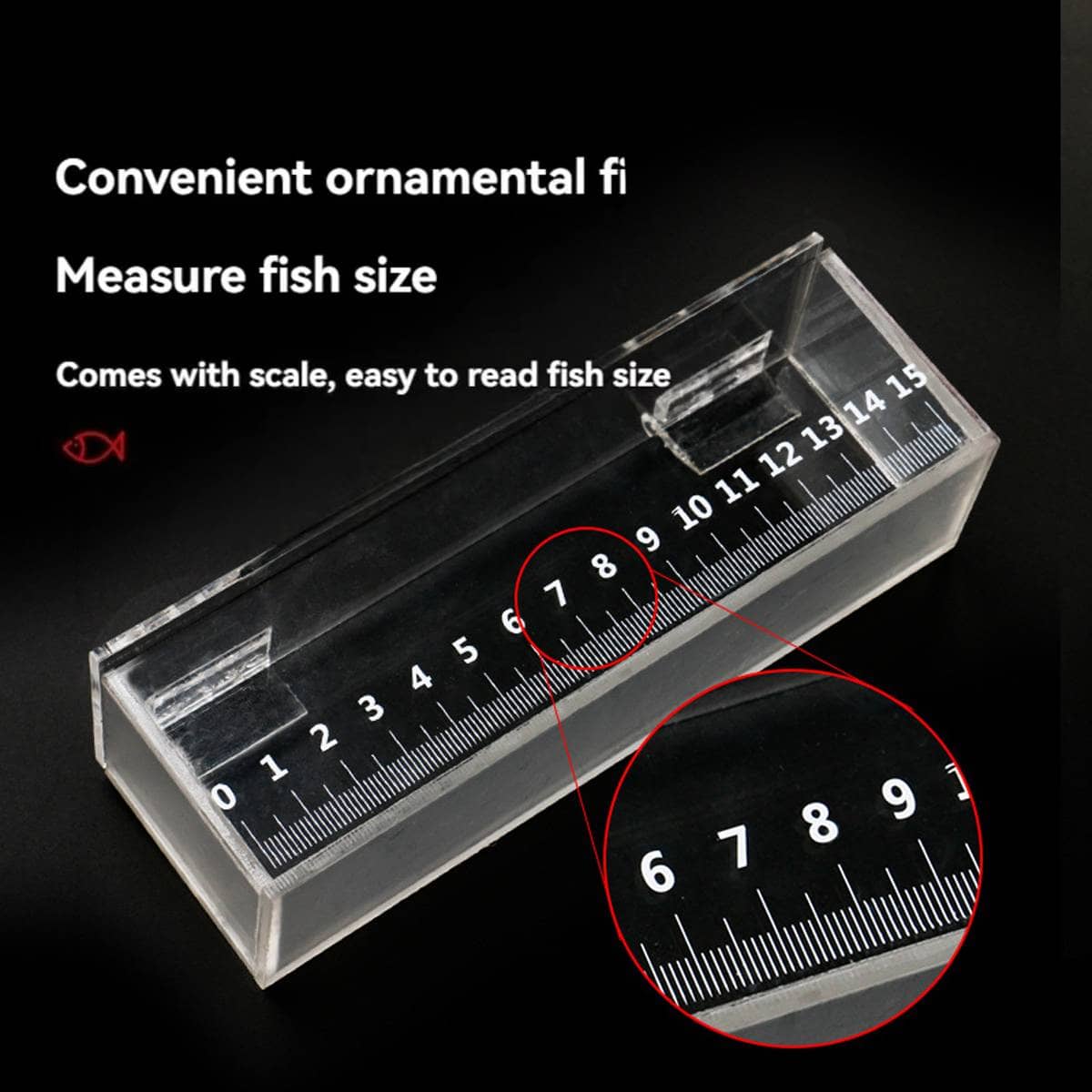 Clear Acrylic Fish Viewing Box - Medium, 15cm Ruler - view 5