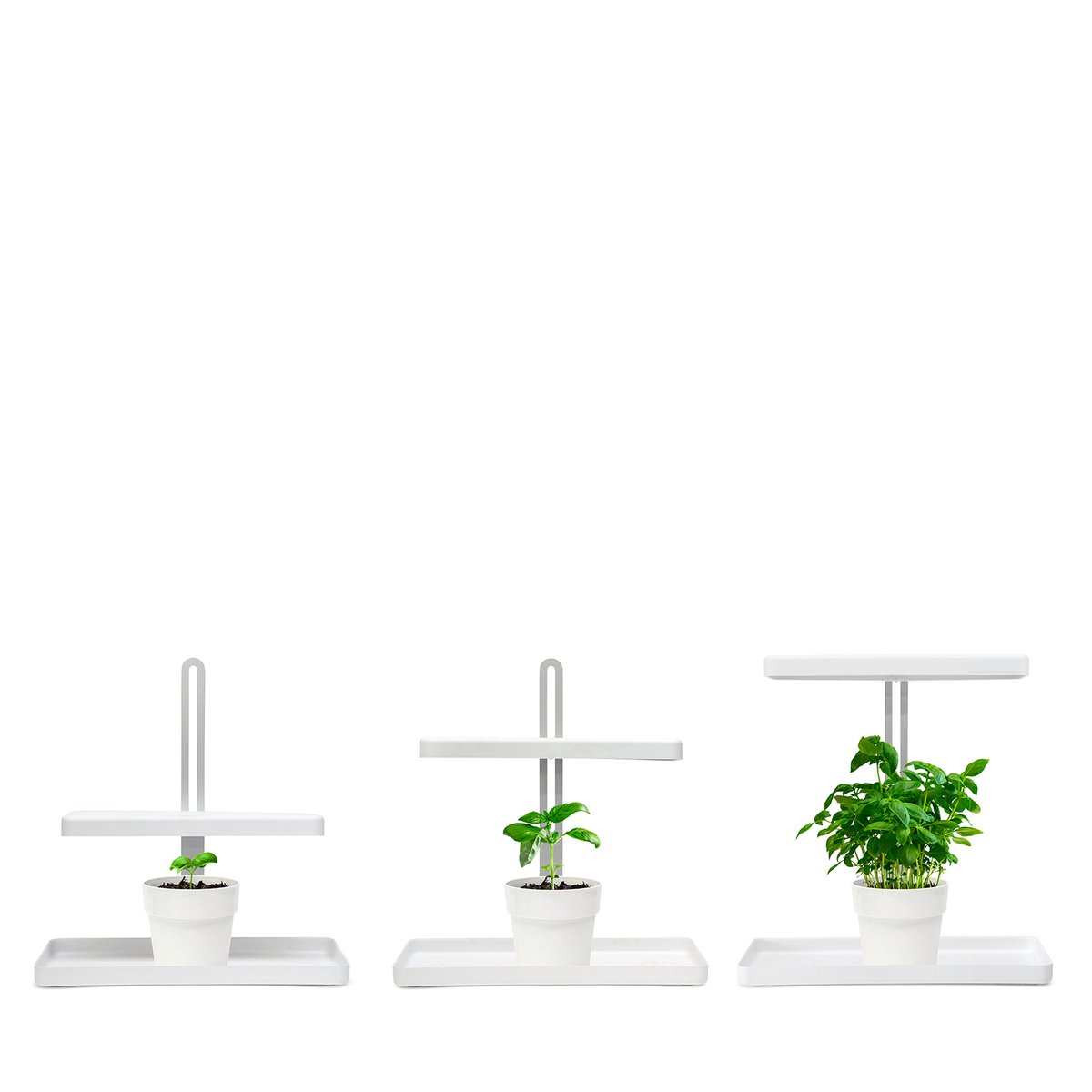 Home Grown Indoor Garden - Adjustable 44cm - Stainless Steel - Smart Timer - SuperSaverAU - view 3