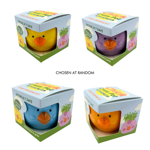 Mr Fothergill's Cress Chick Grow Kit Ceramic Pot Assorted Colours