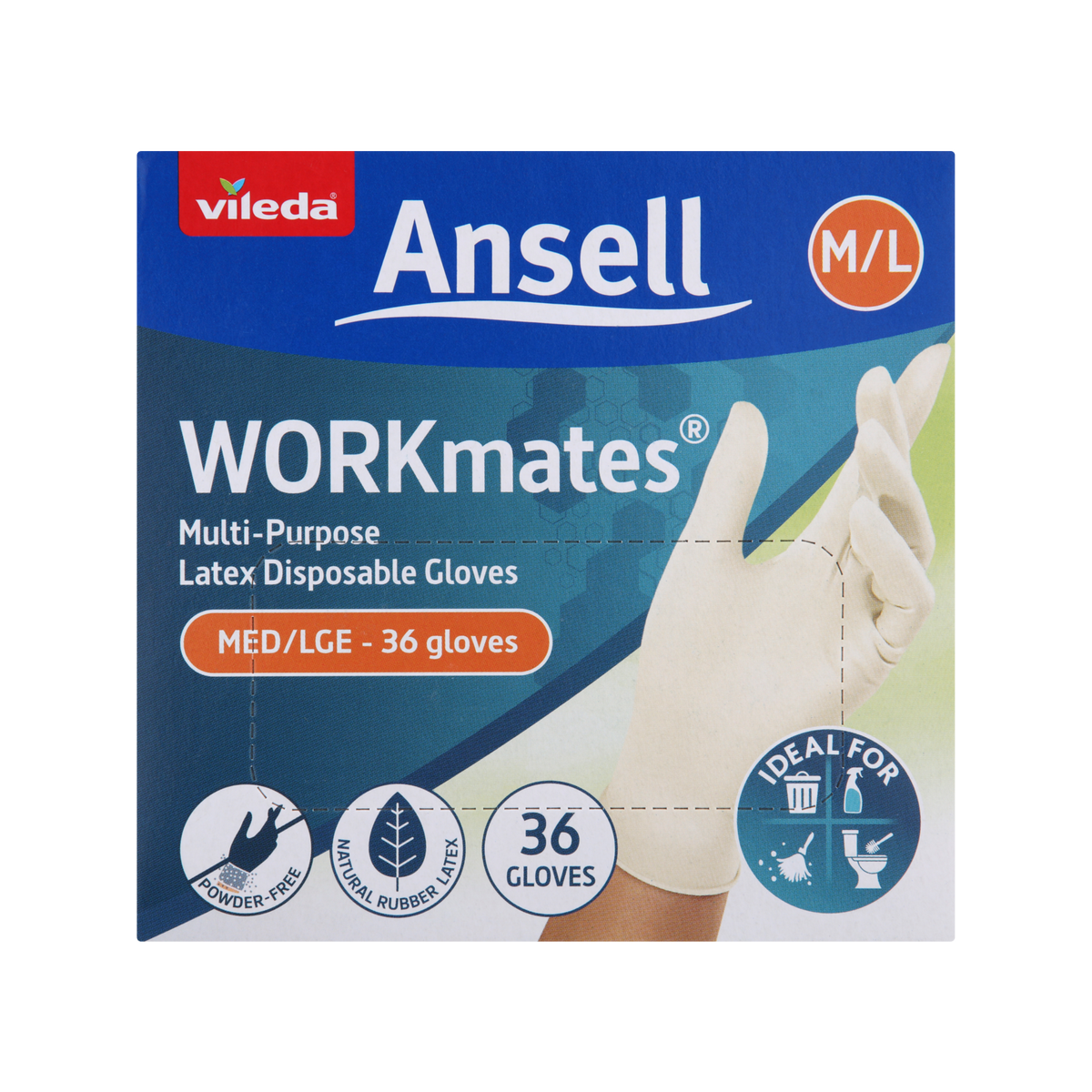 Vileda Ansell Workmates Latex Disposable Gloves 36pk Medium Large - Powder-Free - Comfortable Fit - Hygienic Hand Protection - SuperSaverAU - view 2