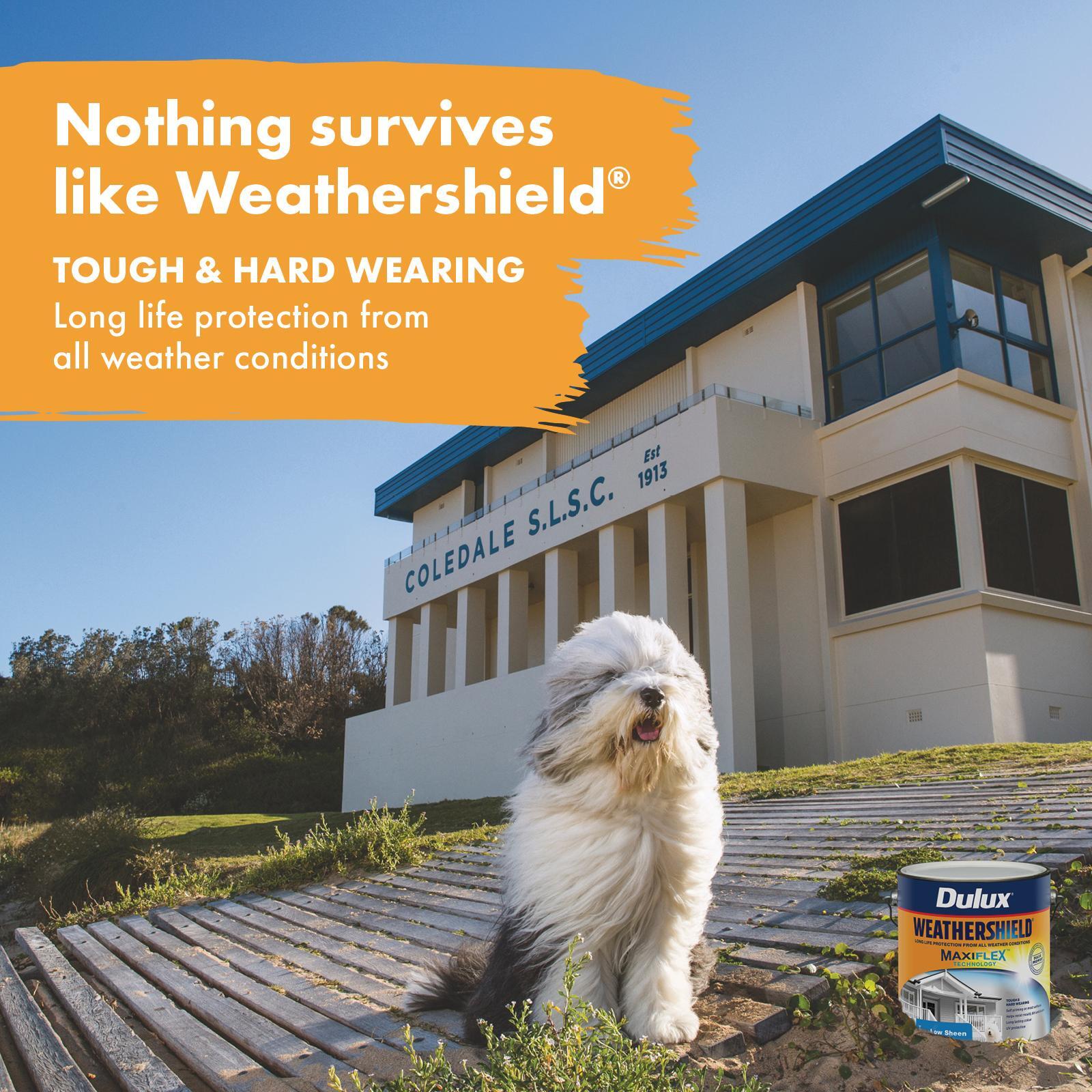Dulux Weathershield 2L Extra Bright Low Sheen Exterior Paint