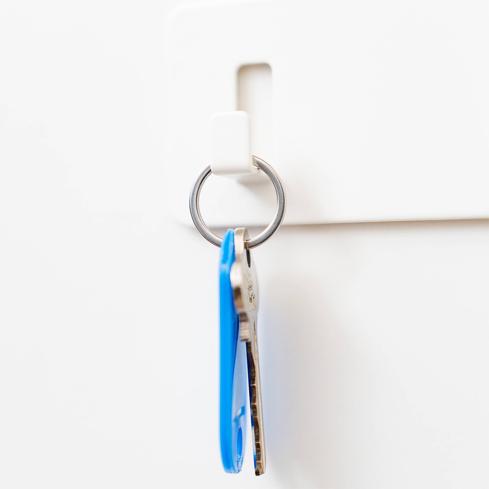 Taskmaster 20mm 304 Stainless Steel Key Ring - 5 Pack