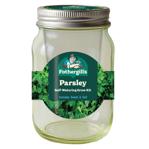 Mr Fothergill's Self Watering Mason Jar Parsley Grow Kit - Yellow Glass, Part Shade or Sun