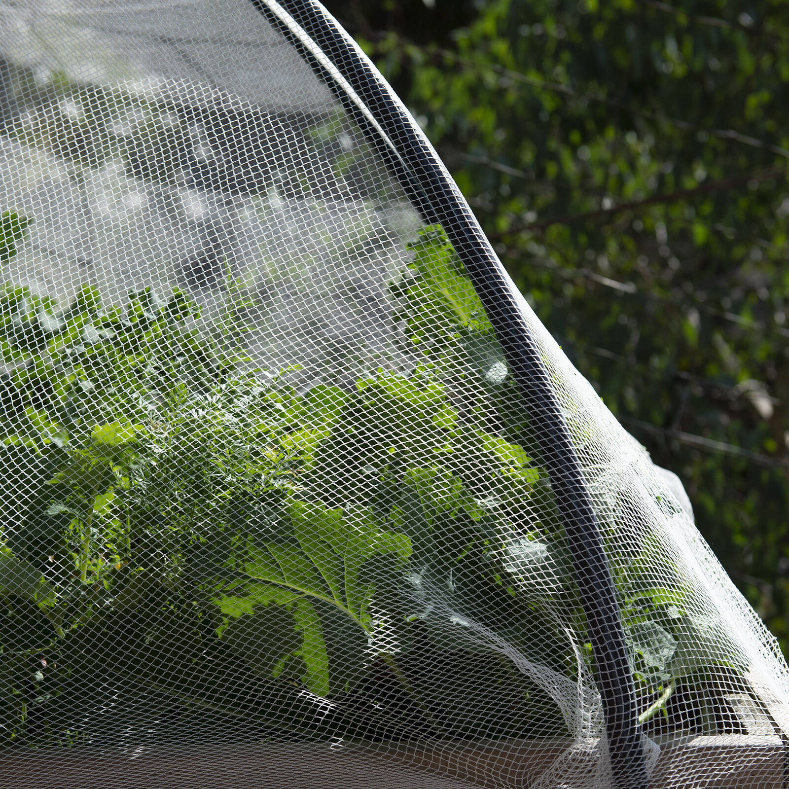 Backyard Farmer 2.5 x 2.5m x 5mm White Anti Bird Net
