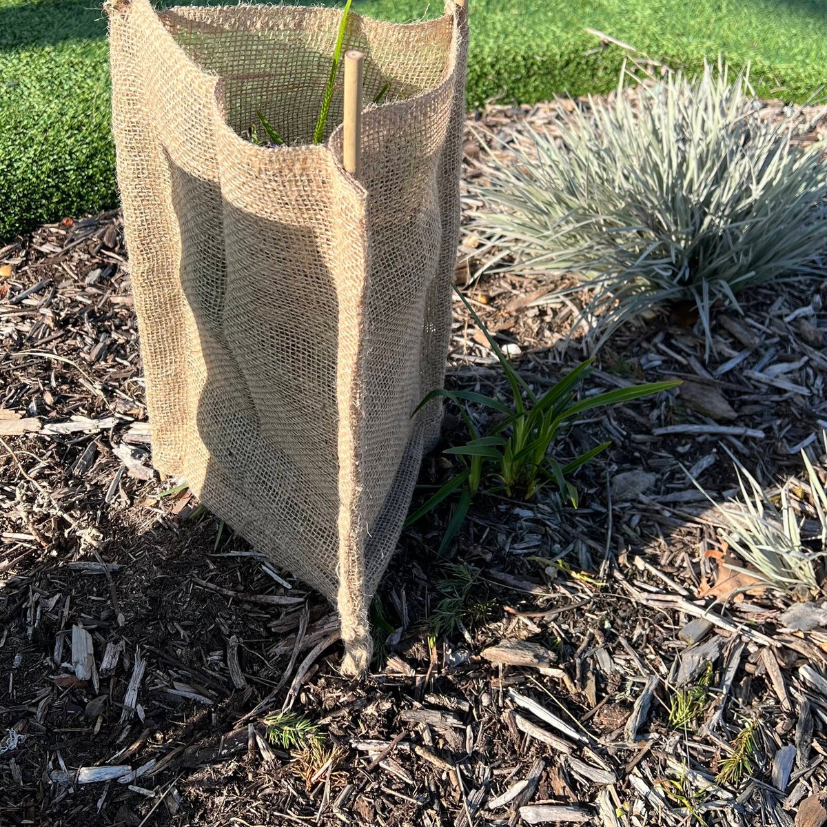 Pillar Natural Hessian Tree Guard Sleeve 30 x 45cm 3 Pack - Breathable Protection - SuperSaverAU - view 2