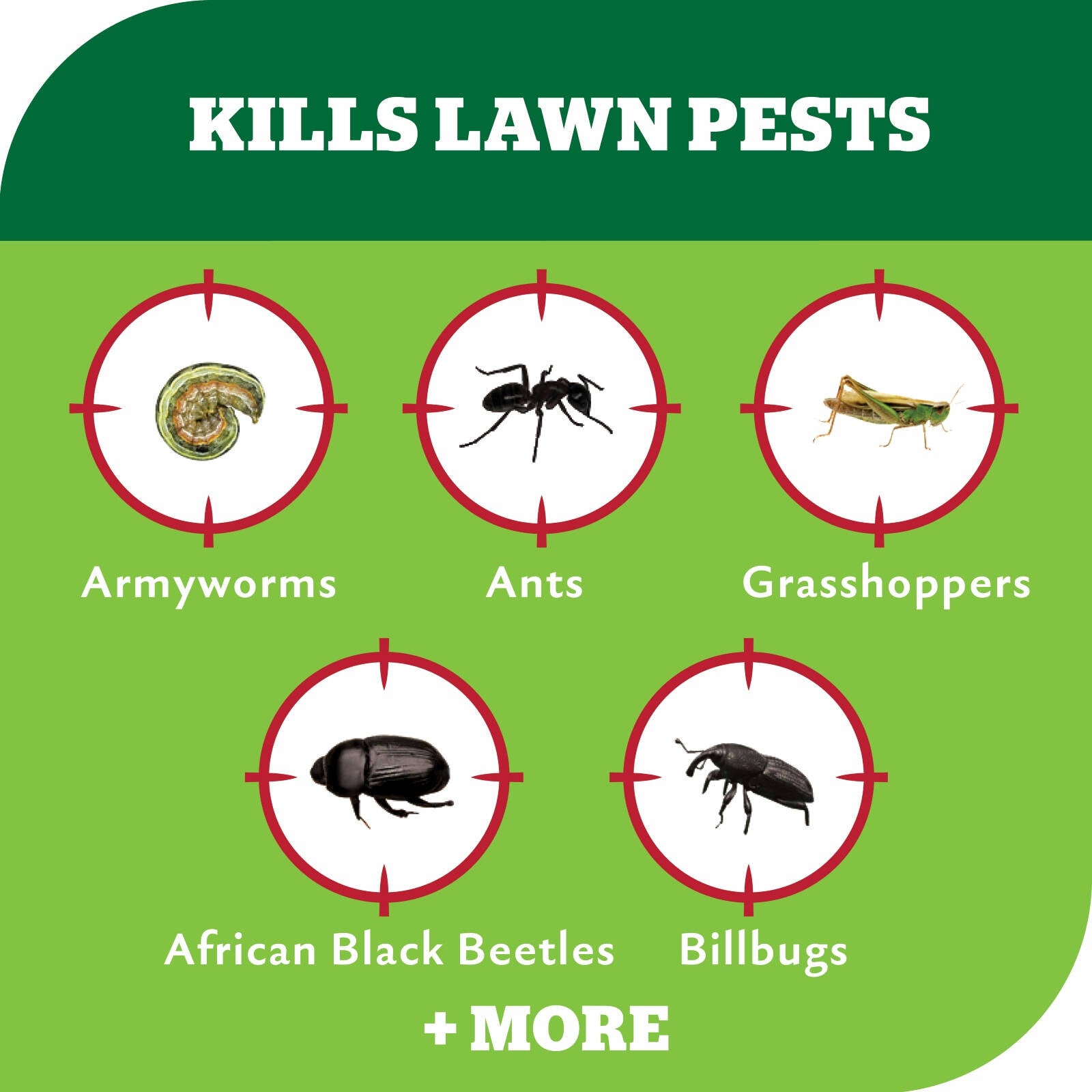 Yates 200ml Advanced Lawn Insect Killer Concentrate
