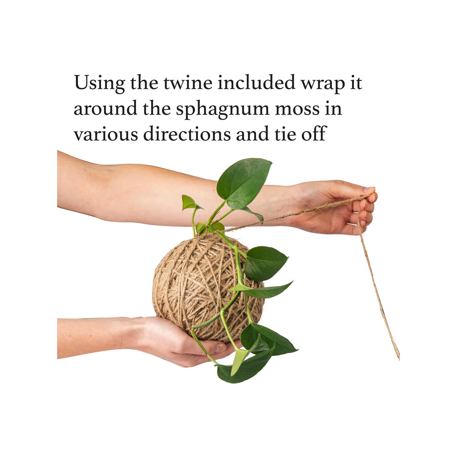 Kokedama Kit with Ceramic Stand and Twine