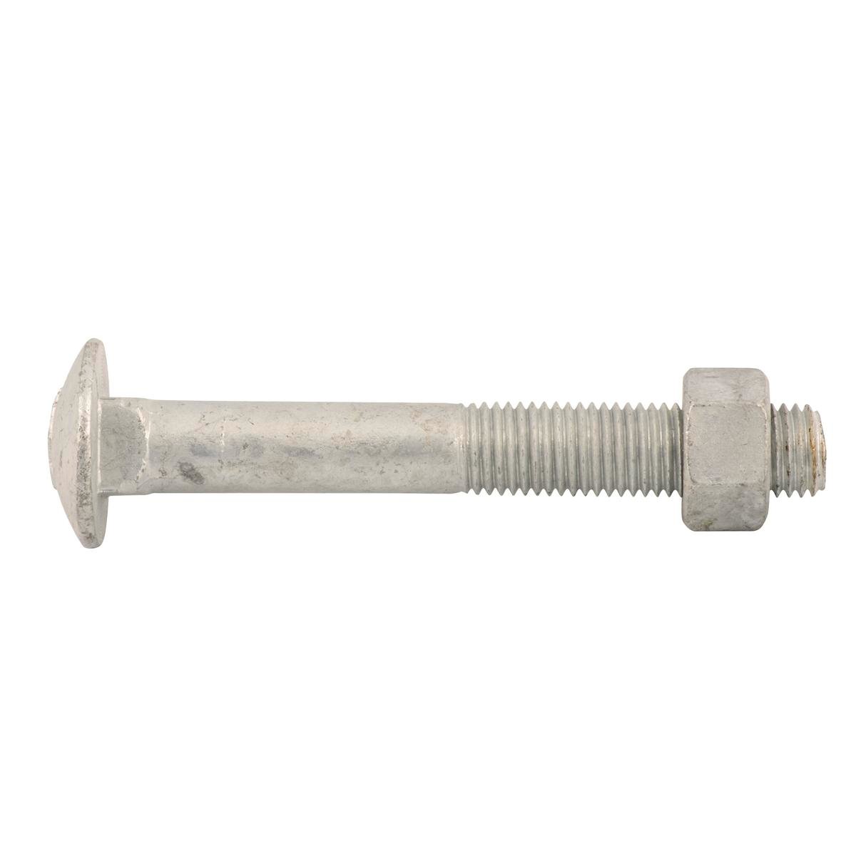 Zenith Cup Head Bolt and Nut 16mm x 180mm Hot Dipped Galvanised - SuperSaverAU - view 1