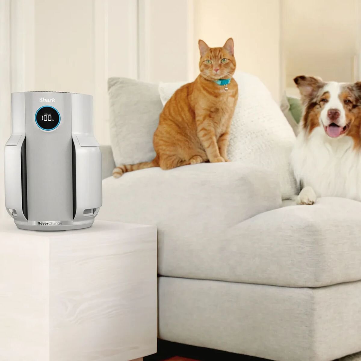 Shark NeverChange5 Air Purifier - 5-Year Filter, Up to 60 Square Metres, Four Fan Speeds, White - HP150
