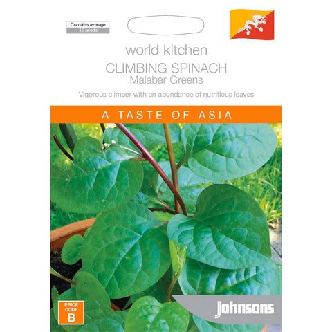Johnsons Climbing Spinach Seeds Vigorous Summer Greens Vine
