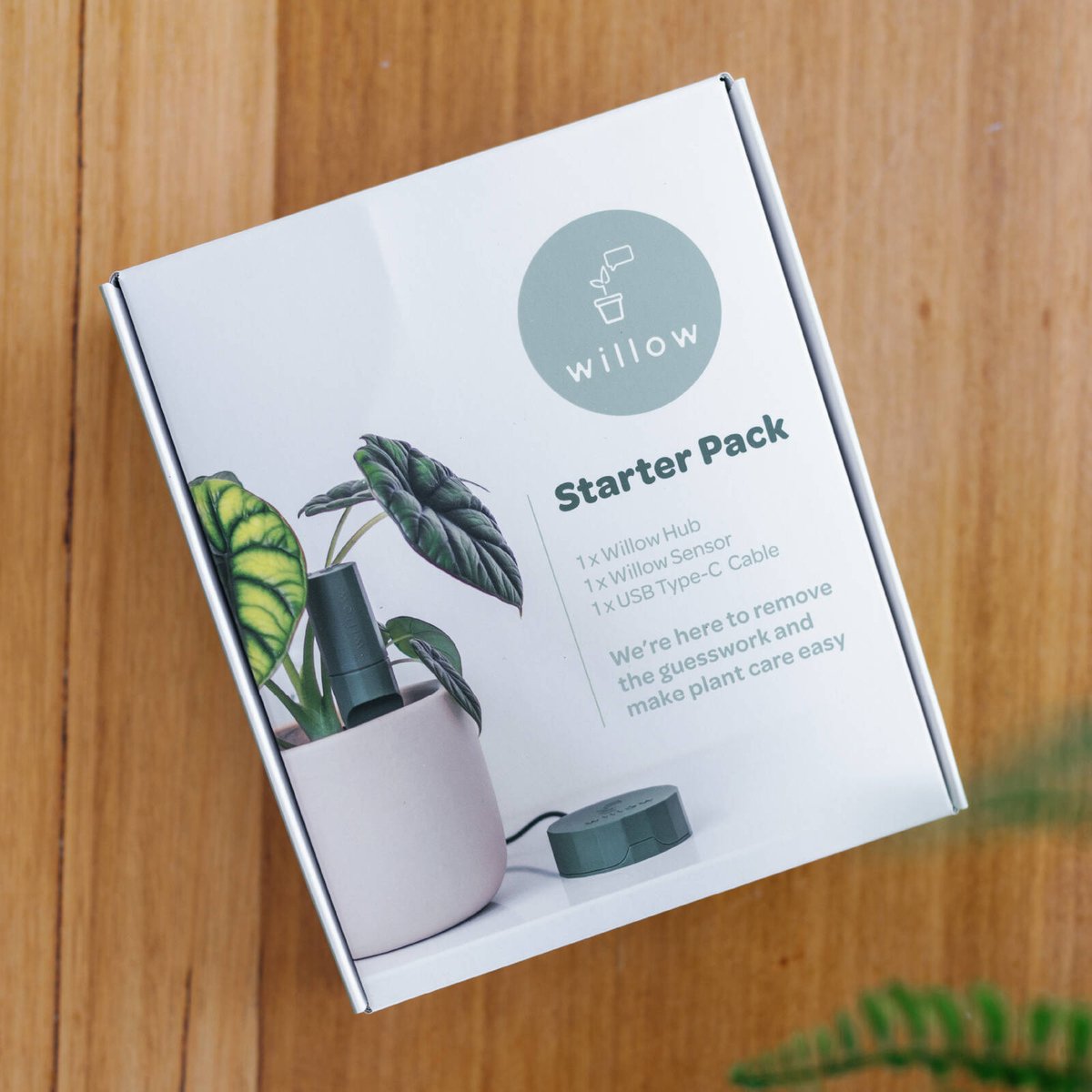 Willow Smart Indoor Plant Sensor Starter Pack - 1 Sensor & Hub - Charcoal - Monitors Soil Moisture, Light, Temperature & Humidity - SuperSaverAU - view 4