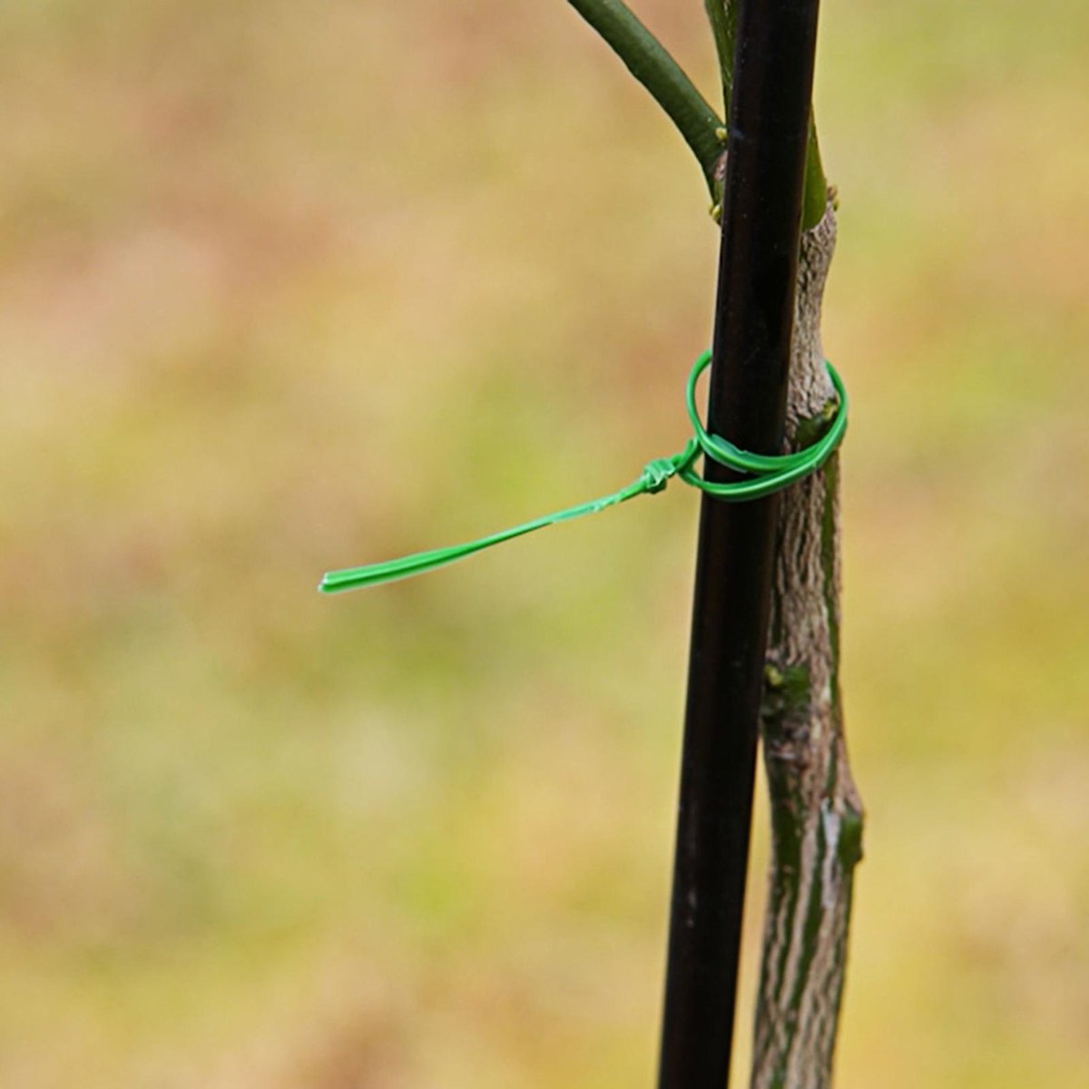 Jack Twist Plant Tie - 100m - Wire/Plastic - Strong Flexible - SuperSaverAU - view 2