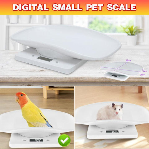 Digital LCD Pet Weighing Scale - 10 kg, White