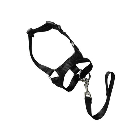 Dog Head Collar Halter - Black, Size M (Neck 33-40 cm)